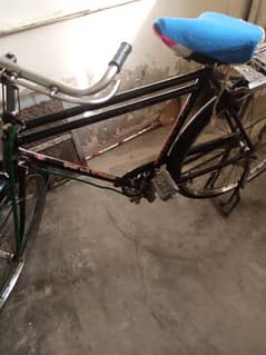 Sohrab 22 inch Cycle