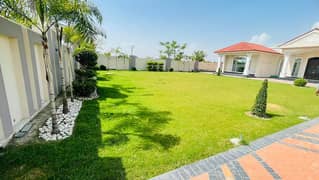 Luxury 3 Kanal Farm House With Swimming Pool Prime Location In Bedian Road Lahore Daily Basis