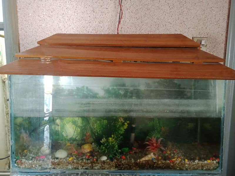 Aquarium for sale 0