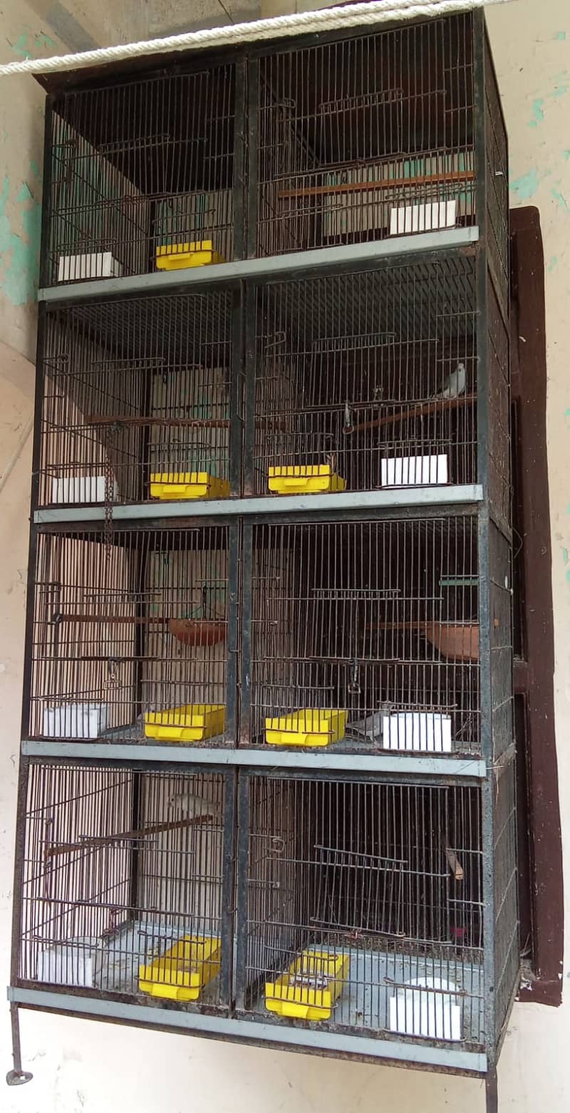 8 portion cage for bajri,lovebirds,finches,java,ringneck 03222425422 0