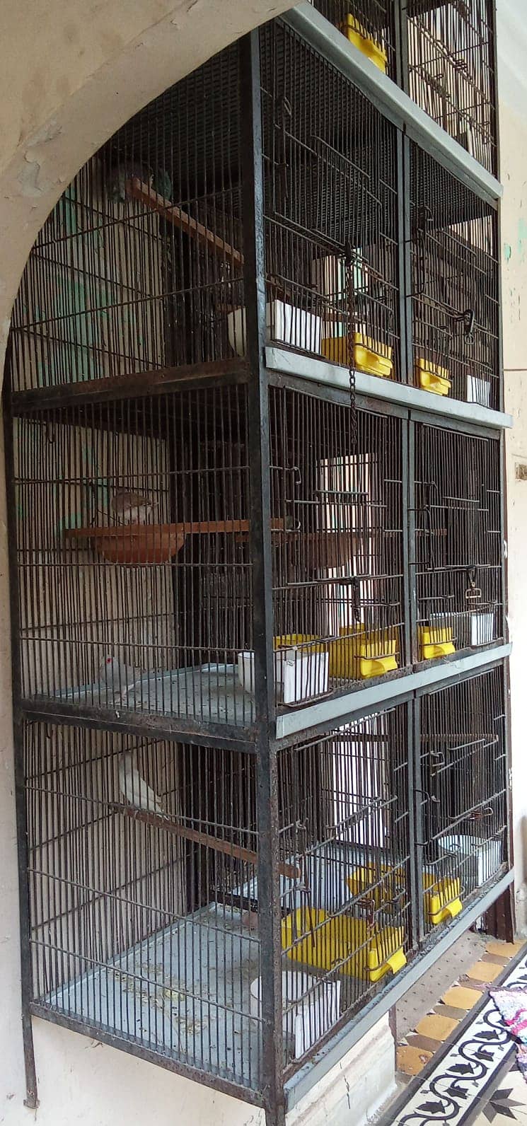 8 portion cage for bajri,lovebirds,finches,java,ringneck 03222425422 1