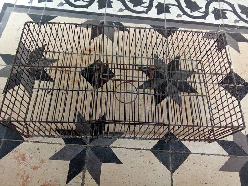 8 portion cage for bajri,lovebirds,finches,java,ringneck 03222425422 7