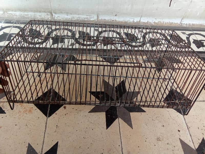 8 portion cage for bajri,lovebirds,finches,java,ringneck 03222425422 8