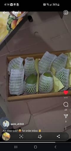 Fresh internation import mangoes