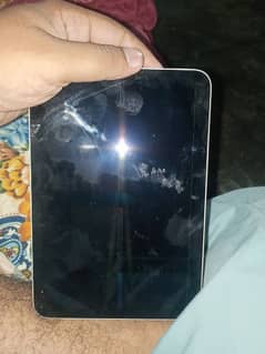 ipad mini 6 panel dead