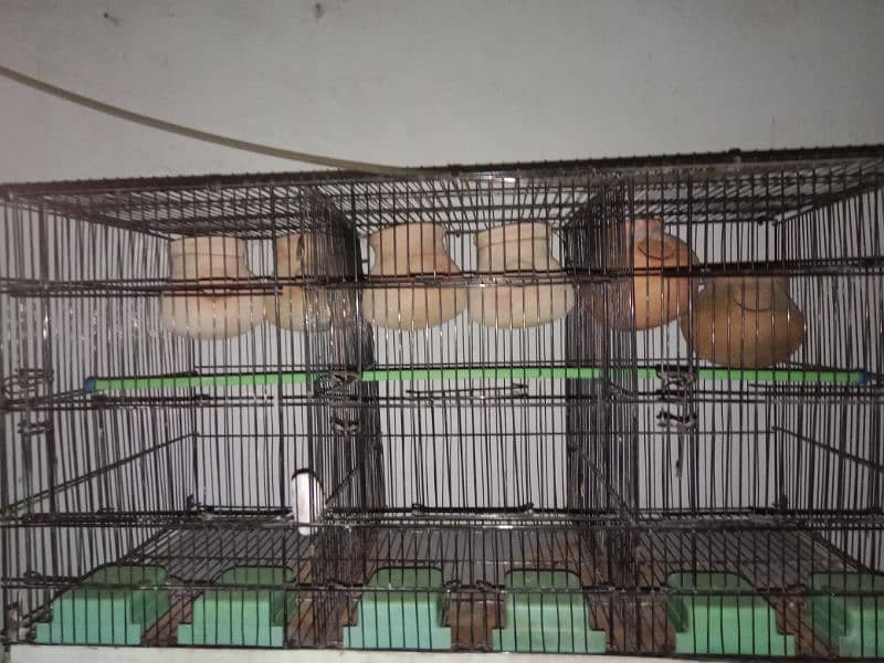 Cage for sale 1