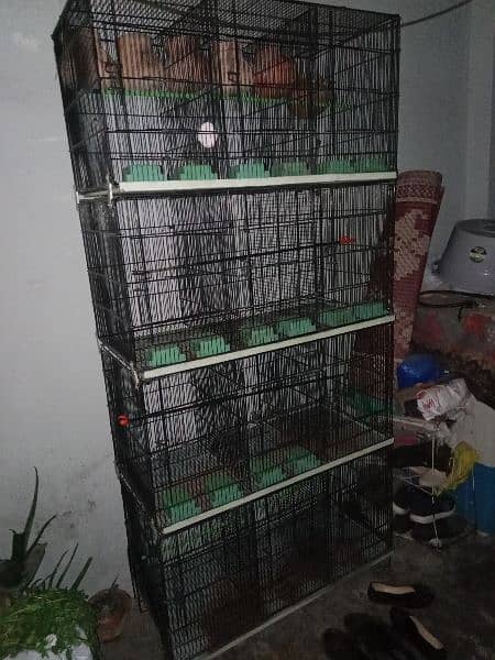 Cage for sale 2