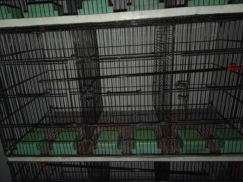 Cage for sale 3