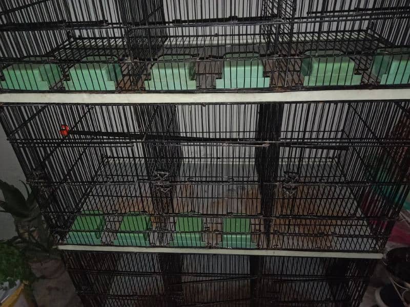 Cage for sale 4