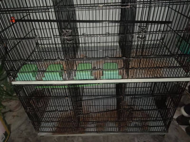 Cage for sale 5