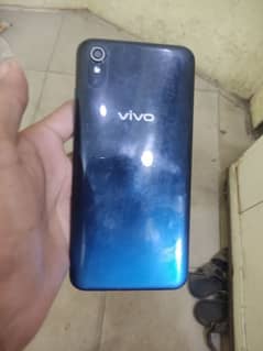 vivo