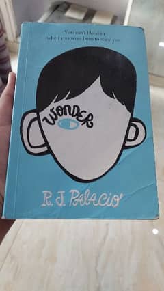 Wonder Novel by RJ. PALICO