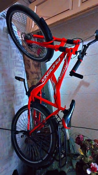 phoenix frame cycle in good condition 0