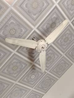 room fan for sale bilkul sahi chalta hai