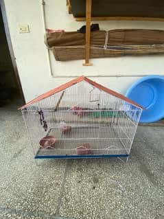 large cage for parrots , hen etc