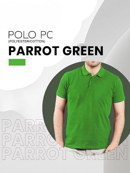 Polo shirt 18