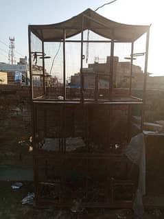 hens+birds cage