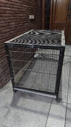 Dog Cage Animal