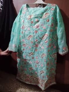 embroidery dress size large