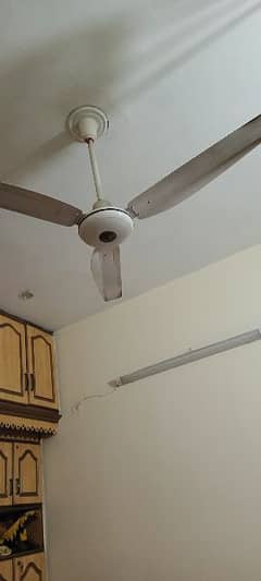 Royal ceiling Fan