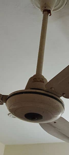 GFC and Royal ceiling Fan 1