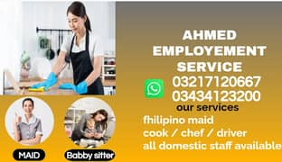 Babysitter / maid /Cook / Patient Care/Nanny/domestic staff Available