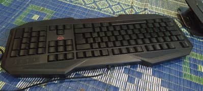 GXT trust Gaming Keyboard and Mouse