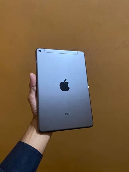 ipad mini 5_ air 2_air 3_mini 6_air 4_mini 2_mini 1 15