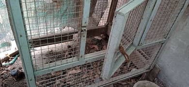 iron cage for sale