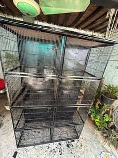 cage for birds and pigion