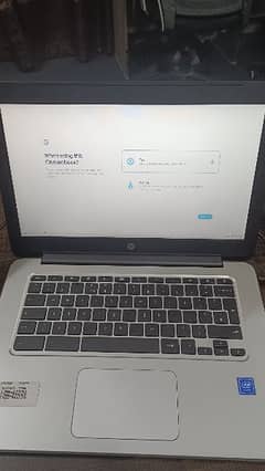 HP Chrome Book