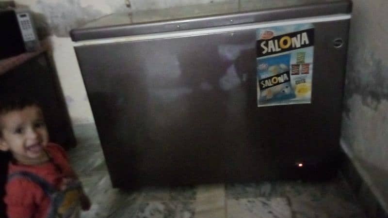 pel deep freezer for sale 1