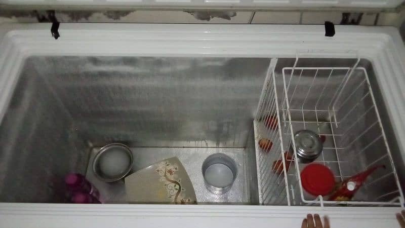 pel deep freezer for sale 3