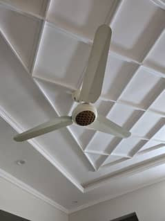 ceiling fans new condition