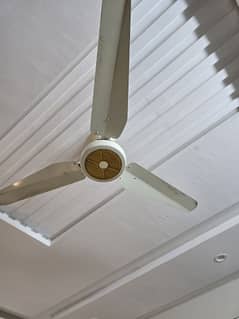 ceiling fans new condition