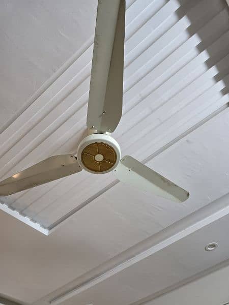 ceiling fans new condition 0