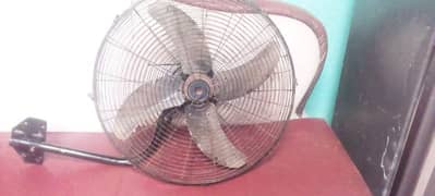 fan