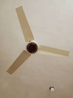 10 fans