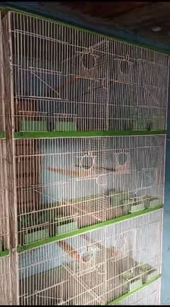 8 portions bird cage