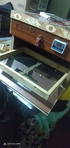 wood Cage & Incubator 40 eggs 12 volt 9