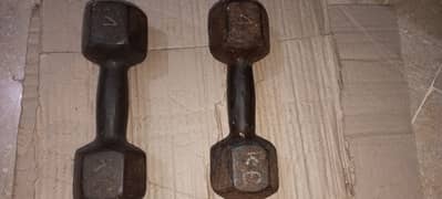 Iron 4kg solid dumbles