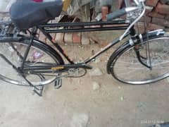 Sohrab 22 inch Cycle