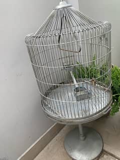 parrot cage large size