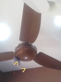 cieling fan brand new from Sufi fan agency