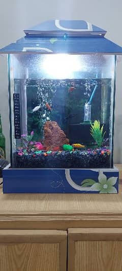 1 feet aquarium with all accessories