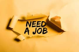 I need job(driver car, typing work, junior clerk)