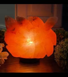 Pink salt lamps