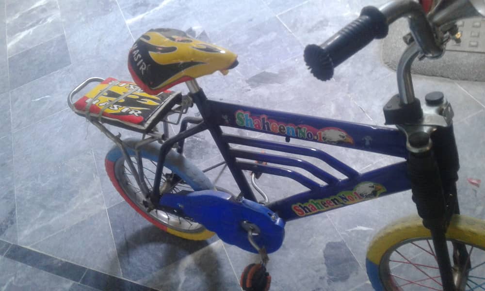 Bicycle for Kids 1