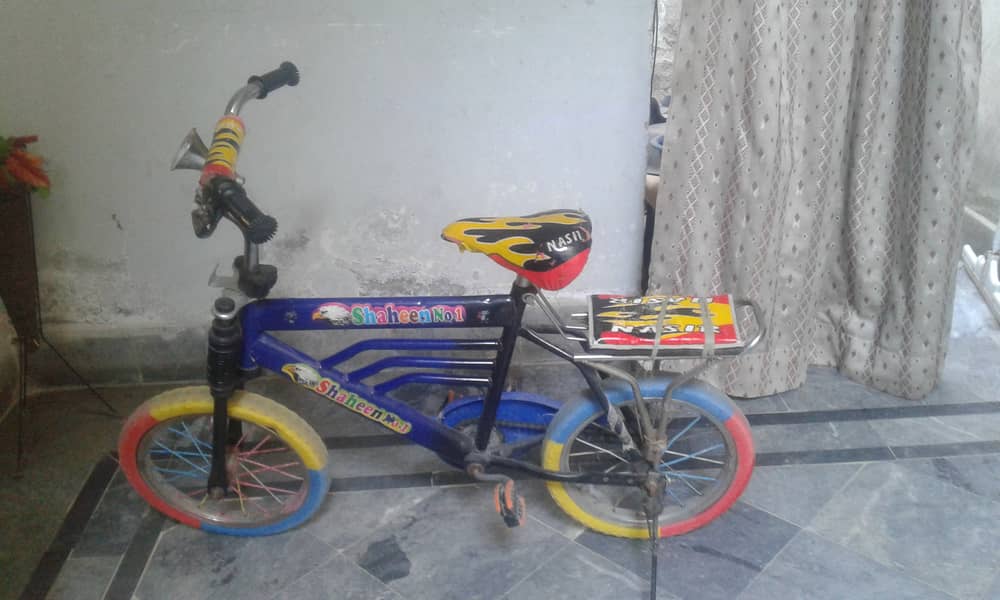 Bicycle for Kids 2