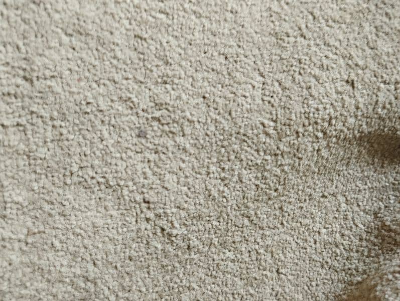 light brown carpet for sale 0